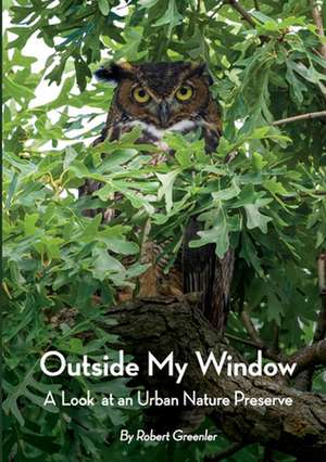 Outside My Window de Robert Greenler