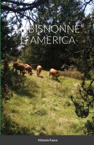 LE BISNONNE D'AMERICA de Vittorio Fasce