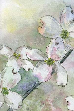 Journal with Lined Pages: 150 Page Journal: Dogwood de Wendy Reed