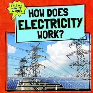 How Does Electricity Work? de Phil Corso