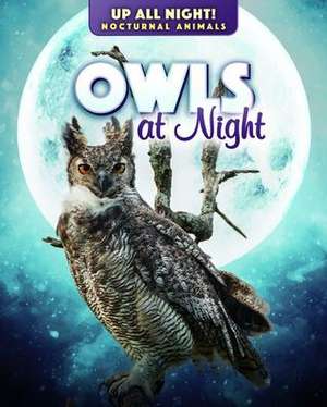 Owls at Night de Kathleen A. Klatte