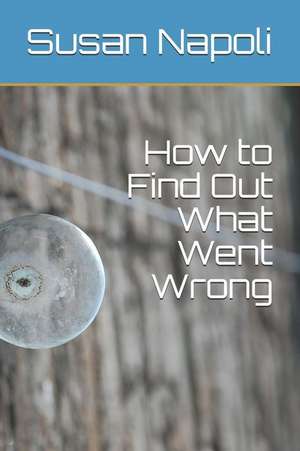 How to Find Out What Went Wrong de Susan Devine Napoli