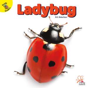 Ladybug de J Jean Robertson