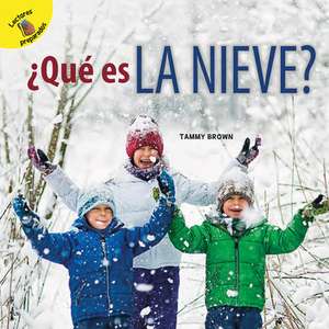 ¿Qué Es La Nieve? de Santiago Ochoa