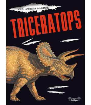 Triceratops de Suen