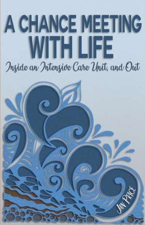 A Chance Meeting with Life de Jan Price