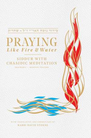 Praying Like Fire and Water: Siddur with Chassidic Meditation de David H. Sterne