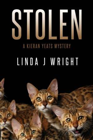 Stolen de Linda J Wright