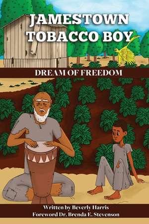 Jamestown Tobacco Boy Dream of Freedom de Beverly Harris