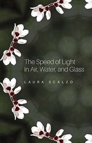 The Speed of Light in Air, Water, and Glass de Laura Scalzo