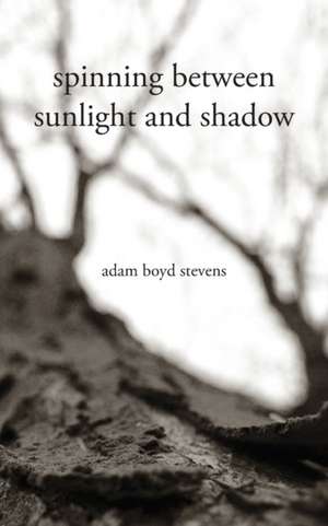 Spinning Between Sunlight and Shadow de Adam Boyd Stevens