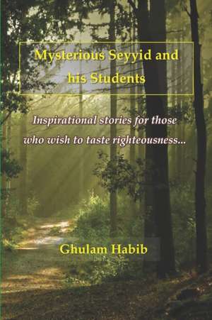 Mysterious Seyyid and his Students: Inspirational stories for those who wish to taste righteousness de Ghulam Habib