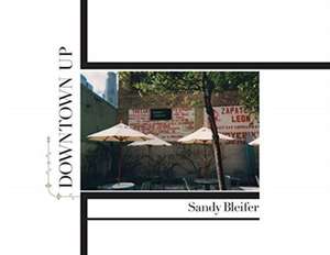 Downtown Up de Sandy Bleifer