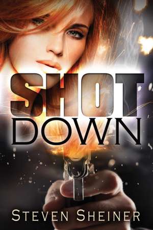 Shot Down de Steven Sheiner