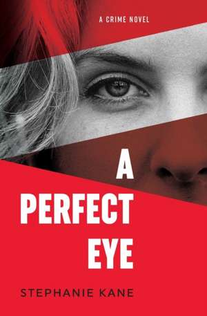 A Perfect Eye de Stephanie Kane