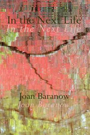 In the Next Life de Joan Baranow