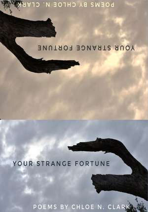 Your Strange Fortune de Chloe N Clark