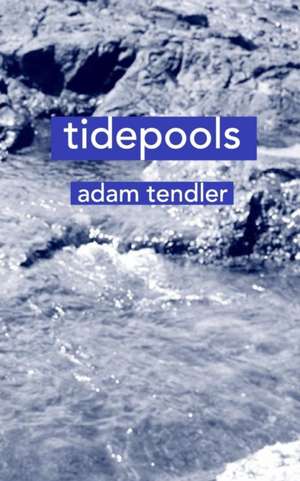 Tendler, A: tidepools