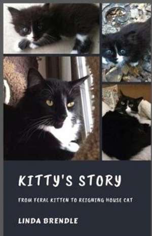 KITTY'S STORY de Linda Brendle