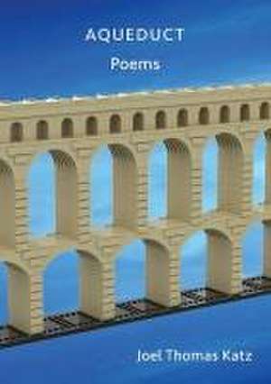 Aqueduct de Joel Thomas Katz