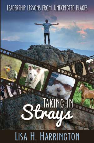 Taking In Strays: Leadership Lessons From Unexpected Places de Lisa H. Harrington