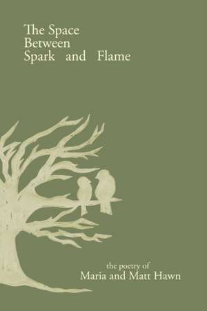 The Space Between Spark and Flame de Maria Hawn