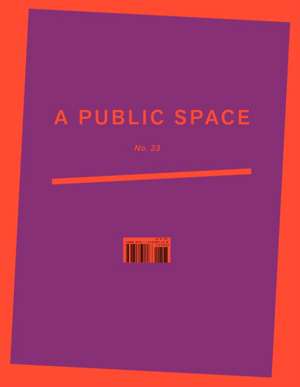 A Public Space No. 33 de Brigid Hughes