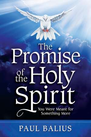 The Promise of the Holy Spirit: You Were Meant for Something More de Paul Balius