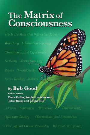 The Matrix of Consciousness de Stephan Schwartz