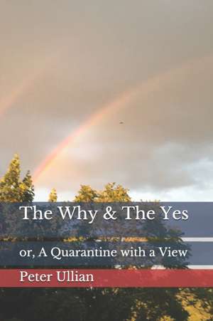 The Why & The Yes: or, A Quarantine with a View de Peter Ullian