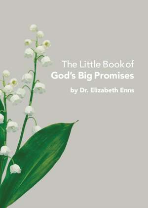 The Little Book of God's Big Promises de Elizabeth Enns