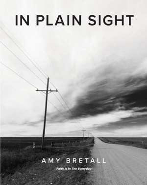 In Plain Sight de Amy Bretall