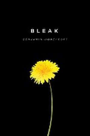 Bleak de Benjamin Honeycutt