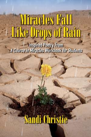 Miracles Fall Like Drops of Rain de Sandi Christie