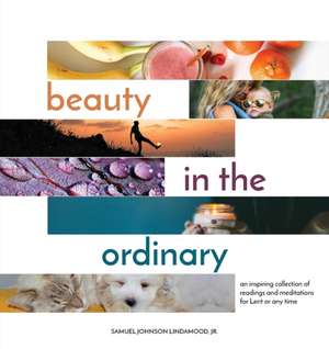 Beauty in the Ordinary de Samuel Johnson Lindamood