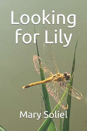 Looking for Lily de Mary Soliel