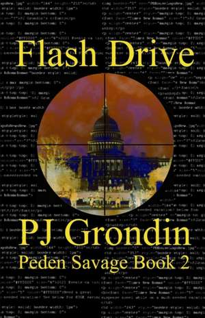 Flash Drive de Pj Grondin