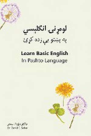 Learn Basic English in Pashto Language de David E Sahar