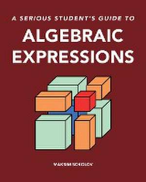 A serious student's guide to algebraic expressions de Maksim Sokolov