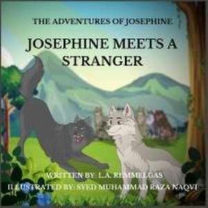 Josephine Meets A Stranger de Lynn A Remmelgas