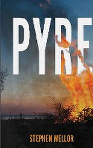 PYRE de Stephen G W Mellor