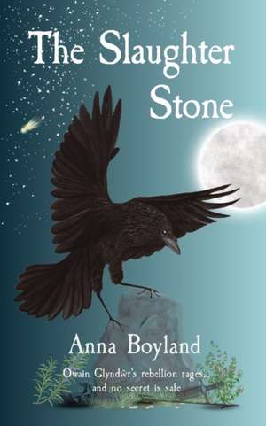 The Slaughter Stone de Anna Boyland