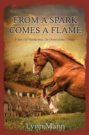 From A Spark Comes A Flame de Lynn Mann