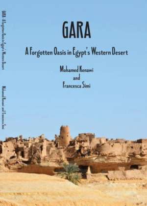 Gara de Mohamed Kenawi