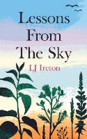 Lessons From The Sky de Lj Ireton