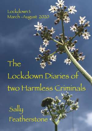 Lockdown Diary de Sally Featherstone