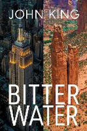 Bitter Water de John King