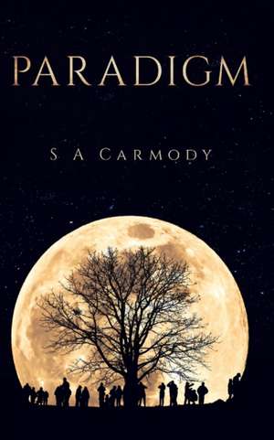 Paradigm de S A Carmody