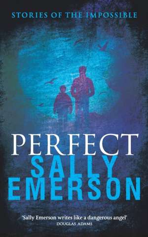 Perfect, Stories of the Impossible de Sally Emerson