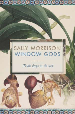 Window Gods de Sally Morrison